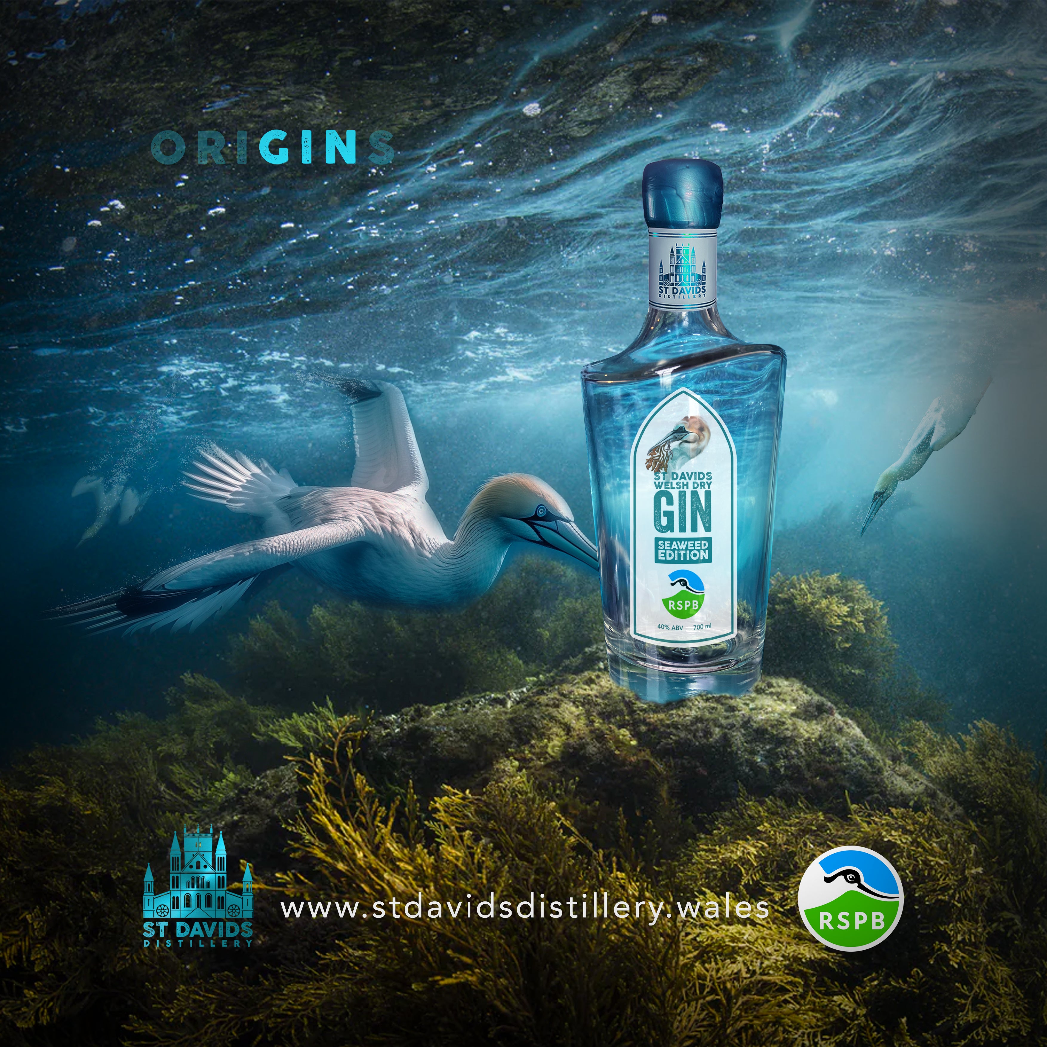 The Classic Elegance of Gin and Tonic: A Timeless Combination