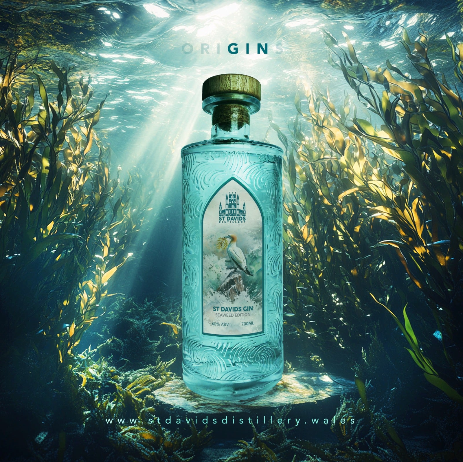 ST DAVIDS SEAWEED WELSH DRY GIN – St Davids Distillery Limited
