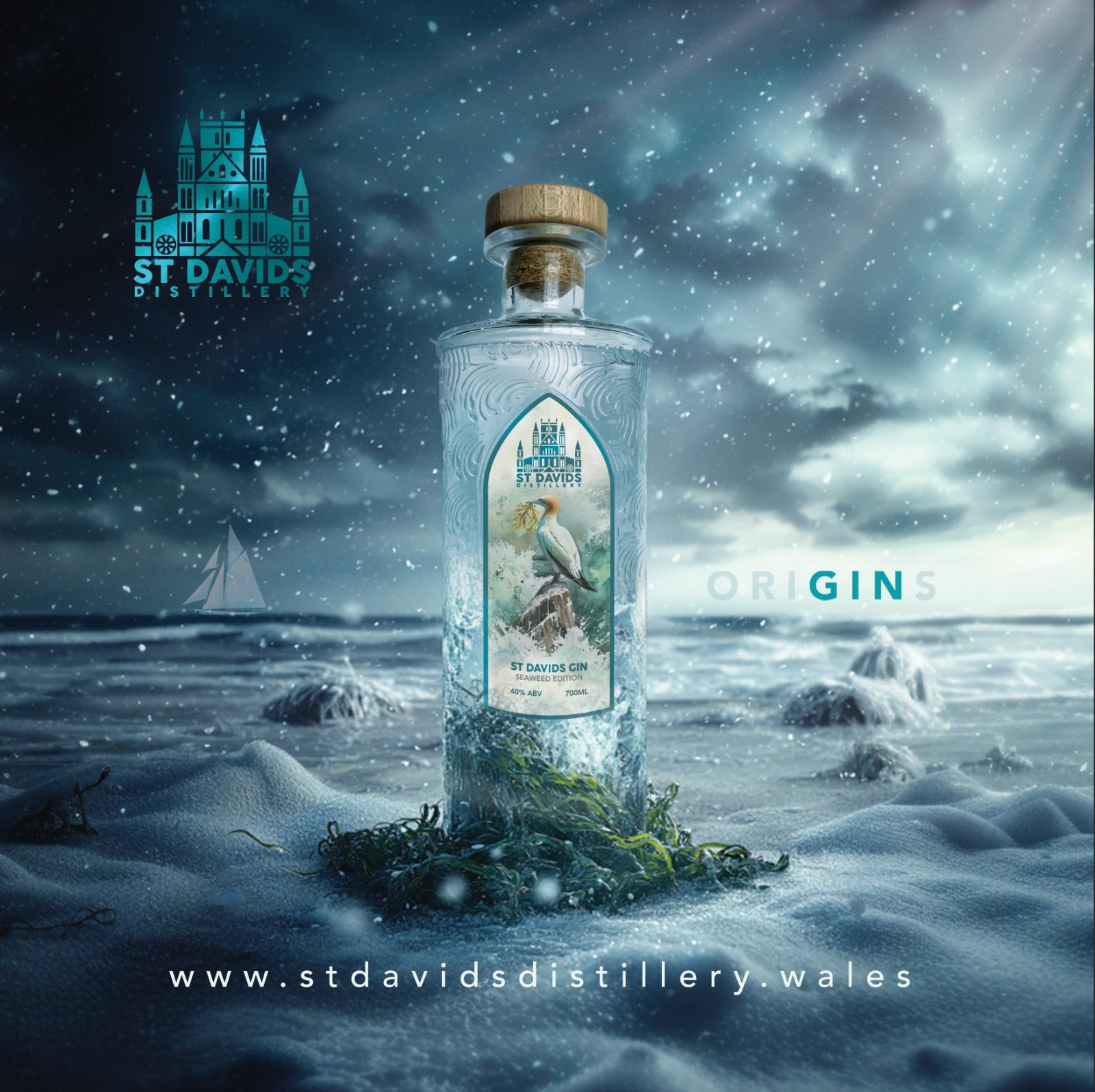 ST DAVIDS SEAWEED WELSH DRY GIN – St Davids Distillery Limited