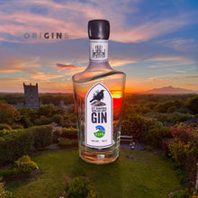 Load image into Gallery viewer, ST DAVIDS WELSH DRY GIN