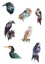 Load image into Gallery viewer, St Davids Gin:Your Favourite Bird Mounted Print &amp; Digital Copy
