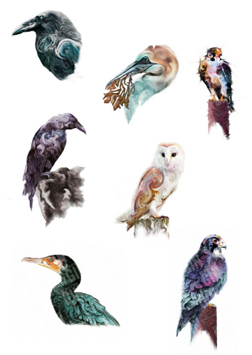 St Davids Gin:Your Favourite Bird Mounted Print & Digital Copy