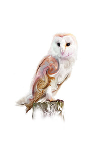 St Davids Gin:'Watchful Barn Owl' Mounted Print