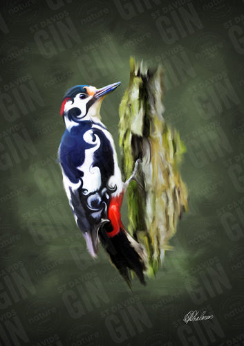 St Davids Gin:'The Lesser Spotted Woodpecker' Mounted Print