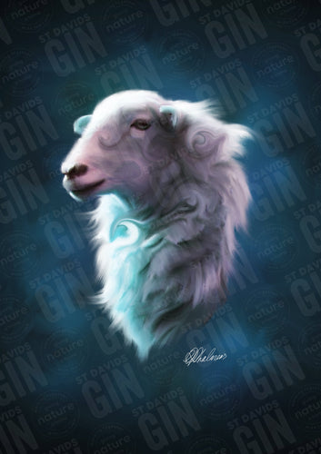 St Davids Gin:'Twilight Ewe' Ramsey Series Mounted Print